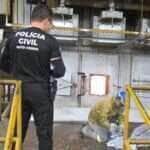 Polícia Civil incinera cinco quilos de drogas em Alto Araguaia