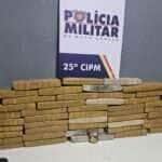 Polícia apreende 45 tabletes de maconha escondidos em carga de carne em Mato Grosso