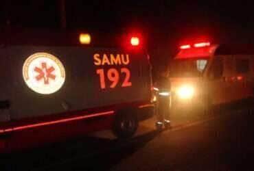 Colisão ocorreu na MT-170 e deixou três animais mortos; vítima conduzia um Corolla e morreu no local 