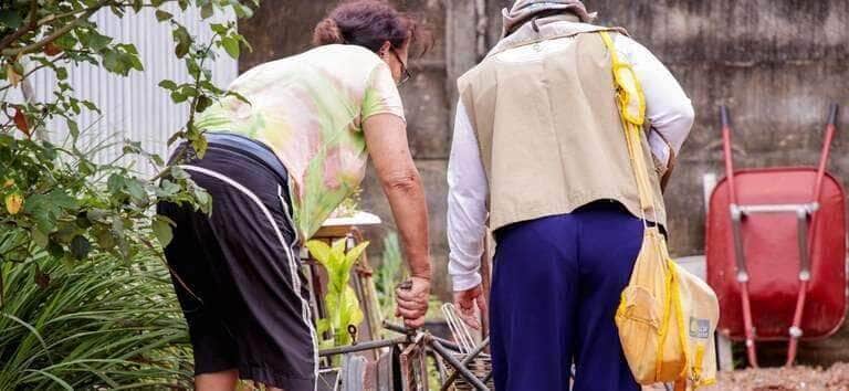 Brasil registra queda de quase 70% nos casos de dengue nos 2 primeiros meses de 2025 - Divulgação