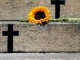 Projeto amplia acolhimento a vítimas de feminicídio em Mato Grosso