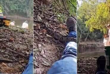 Vídeo viral registra momento tenso entre homem e serpente em Mato Grosso do Sul – e a internet não fala de outra coisa!