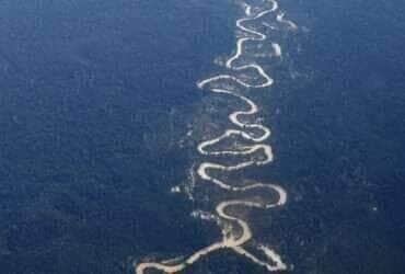 Desmatamento na Amazônia atinge menor índice da série histórica para fevereiro - Arquivo/EBC