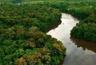 floresta cipem sexta21 03