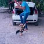 Com passos sincronizados e muito estilo, este galo mostrou que tem mais swing que muita gente