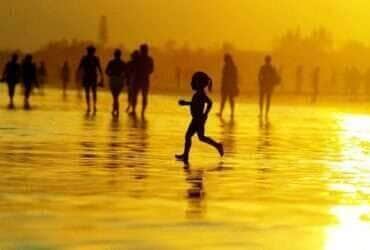 Governo Federal atua para enfrentar ondas de calor e mudanças climáticas - Fernando Donasci