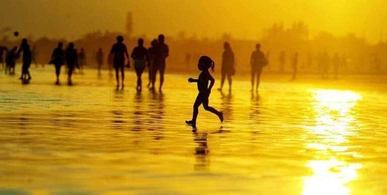 Governo Federal atua para enfrentar ondas de calor e mudanças climáticas - Fernando Donasci
