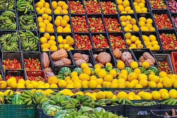 Mais de 40 tipos de frutas foram adquiridas pelo PAA em fevereiro - Ricardo Stuckert/PR