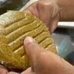 Pesquisadores criam alimento similar a hambúrguer com coco de babaçu -