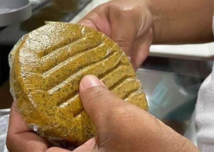 Pesquisadores criam alimento similar a hambúrguer com coco de babaçu -