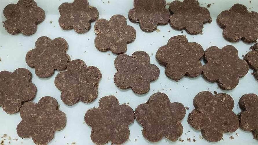 pesquisadores criam alimento similar a hamburguer com coco de babacu interna 4 2025 03 05 862899885