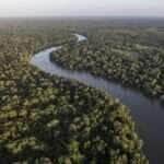 Petrobras e BNDES vão recuperar 50 mil hectares na Amazônia e gerar créditos de carbono - Agência Petrobras
