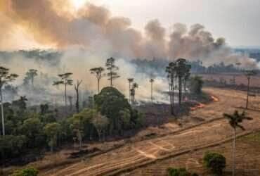 queimadas em mato grosso