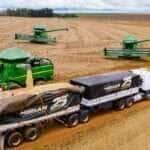 Estado segue como protagonista na produção de grãos, com destaque para a soja e o arroz, impulsionando a safra nacional para um novo recorde