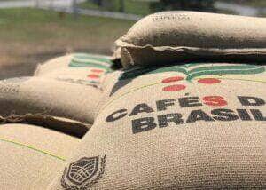 Europa consome aproximadamente 150 mil sacas de cafés por dia 84 241030 polinizacaocafe gustavo facanalli cafe sacas
