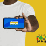 ARTE BOLSA FAMILIA CELULAR CADUNICO