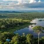 Baia no Pantanal de Mato Grosso 2