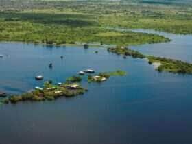 Baía no Pantanal de Mato Grosso