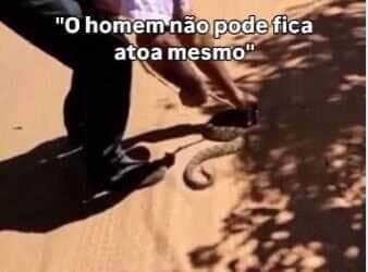 Biólogo alerta: "Não tente ser mais rápido que uma cobra"