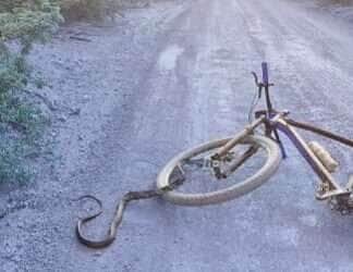 Caninana toma conta de bicicleta e deixa ciclista sem ação em estrada rural