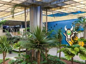 Ponto facultativo altera expediente nos órgãos públicos de Mato Grosso