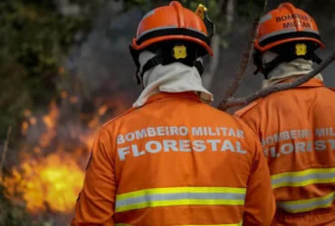 Corpo de Bombeiros de Mato Grosso abre inscrições para curso de combate a incêndios florestais