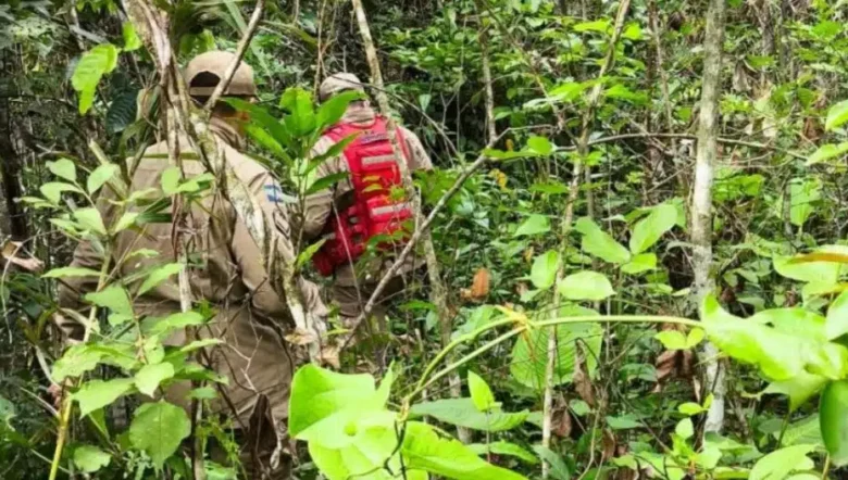 Corpo de piloto e encontrado dentro de aeronave que caiu em Mato Grosso