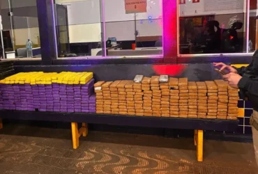 Mais de 350 kg de maconha são encontrados em Mato Grosso
