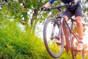 MTB ciclista