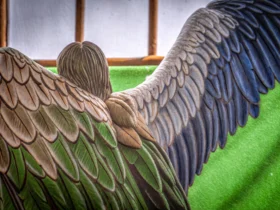 Nas asas do anjo da guarda