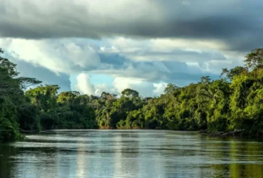 Foto: Prefeitura de Novo Mundo/MT