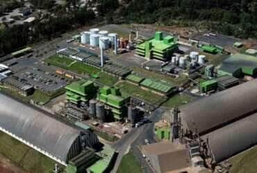 agroindustria biodiesel