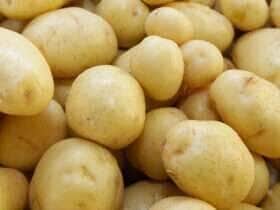 batata