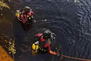 bombeiros realizando buscas em mato grosso
