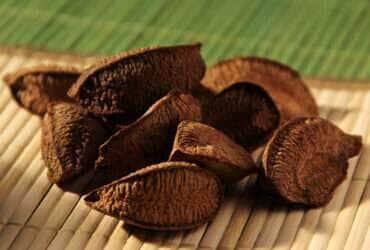 castanha da amazonia ronaldo rosa