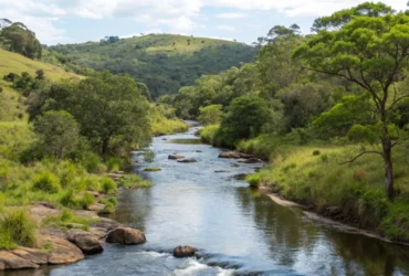 Afogamento em córrego de Rondonópolis expõe riscos em área urbana