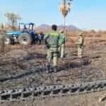 Justiça exige que criadores de gado desocupem áreas degradadas no Pantanal -
