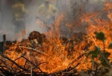 Poconé (MT) 17/11/2023 – Brigadistas do ICMBIO durante combate ao incêndio florestal que atinge o Parque Nacional do Pantanal Mato-Grossense 
Foto: Joédson Alves/Agência Brasil