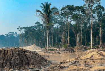 PF, ICMBio e Força Nacional combatem garimpo ilegal no Parque Nacional dos Campos Amazônicos - MPF/RO