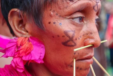 Assassinatos de indígenas em Mato Grosso disparam em novo levantamento