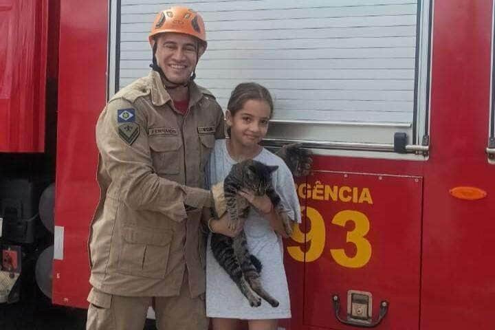 Bombeiros capturam abelhas e resgatam gato preso em arvore de cinco metros