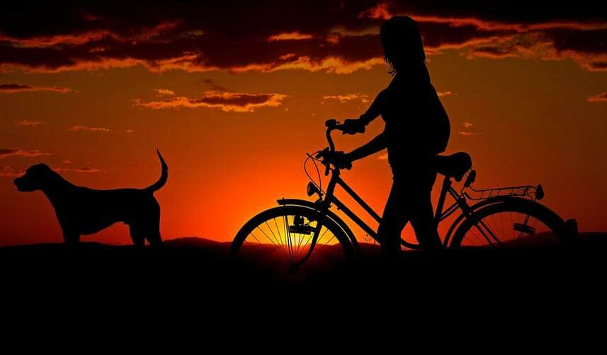 Caminhadas e corridas com cães exigem cuidados e preparação