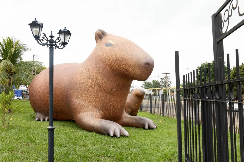 Capivara gigante marca Virada Sustentável em Mato Grosso