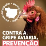 Captura de tela 2025 05 16 092700
