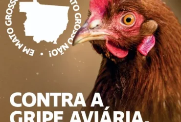Captura de tela 2025 05 16 092700