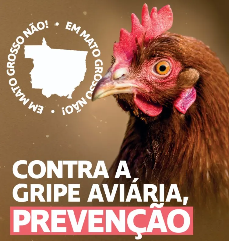 Captura de tela 2025 05 16 092700