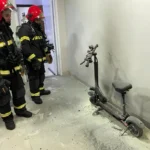 Bombeiros resgatam porco-do-mato e cadela em cidades de Mato Grosso