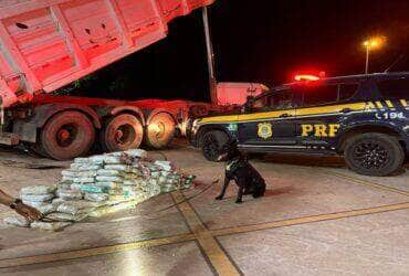 PRF apreende quase 200 tabletes de skunk em caminhão no Mato Grosso