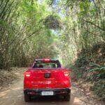 Fiat Toro encara novos caminhos com motor 2.2 turbodiesel Sergio Dias 19