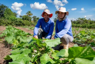 Evento será realizado nesta quinta-feira (29), às 18h, no auditório dos Pioneiros, e é voltado para agricultores familiares e profissionais do setor; inscrições estão abertas